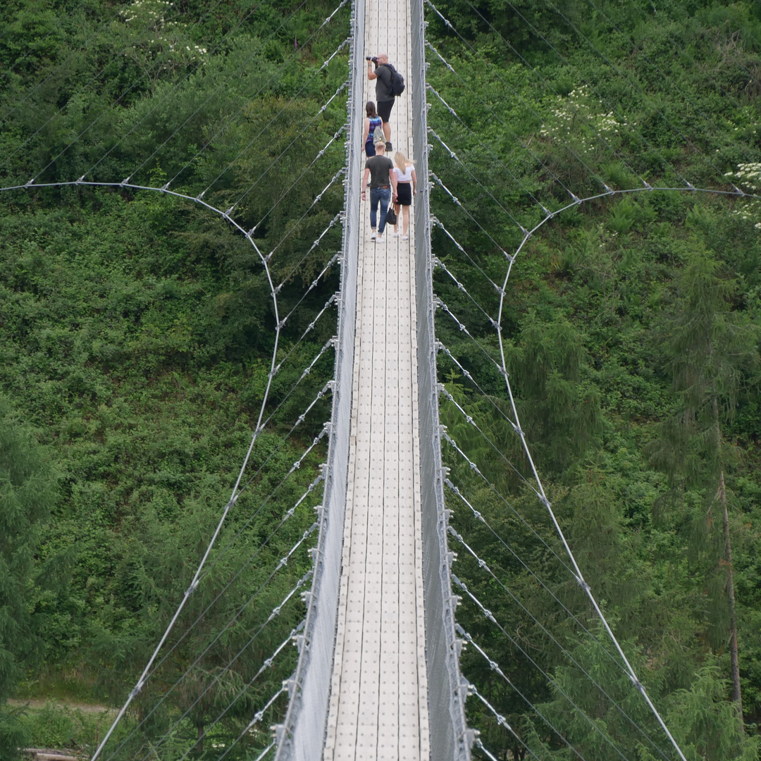 Geierlay Hängebrücke