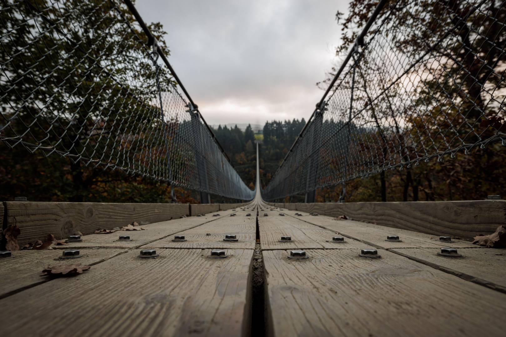 Geierlay-Hängebrücke