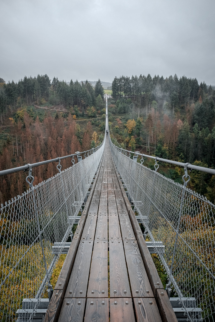 Geierlay Hängebrücke