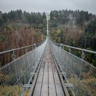 Geierlay Hängebrücke