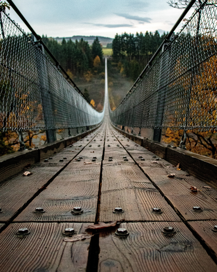 Geierlay Hängebrücke