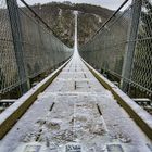 Geierlay Hängeseilbrücke 