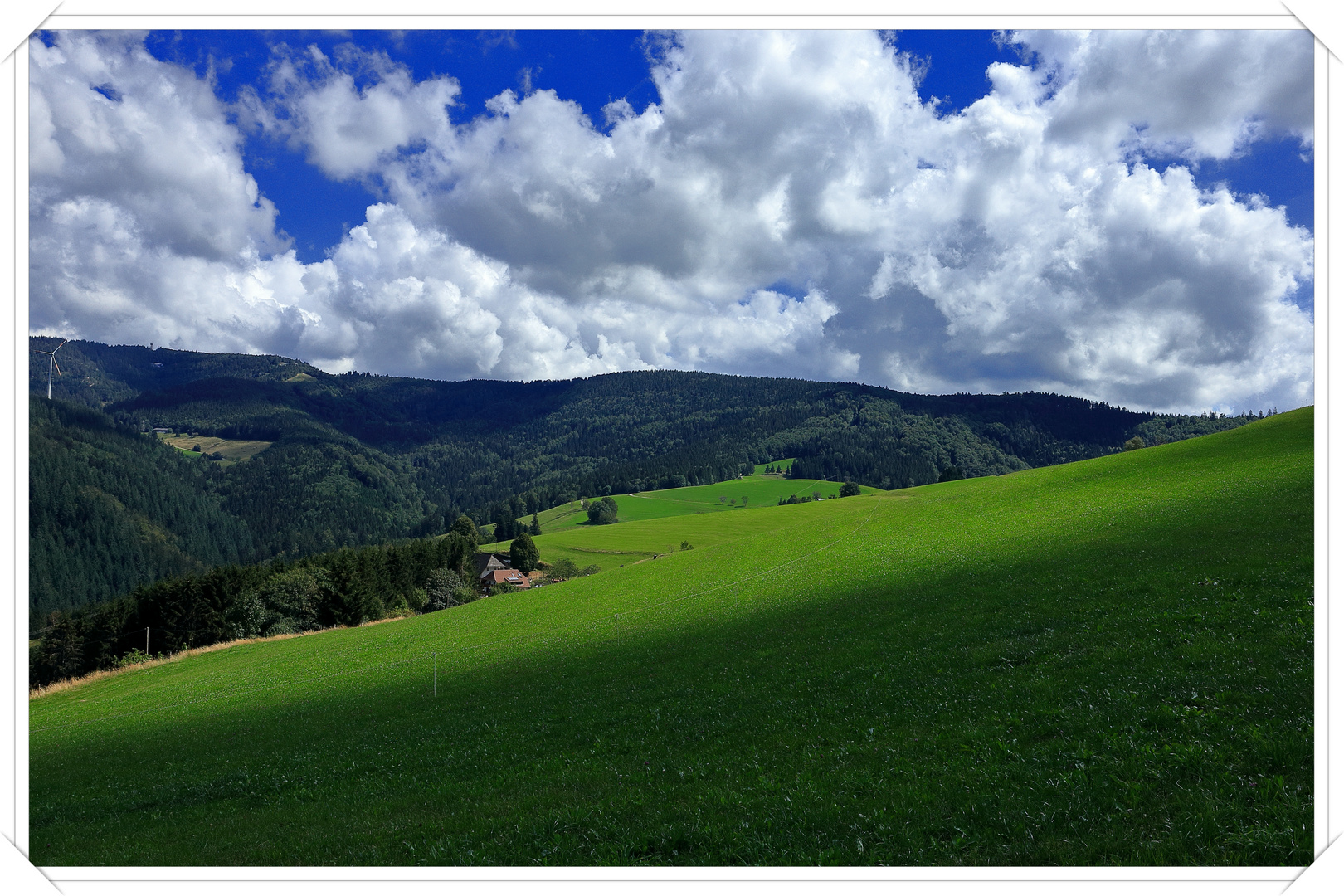 Geiernest Richtung Schauinsland