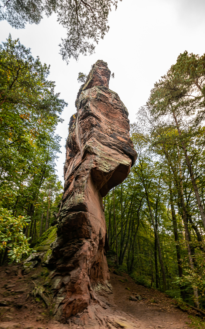 Geierstein von unten