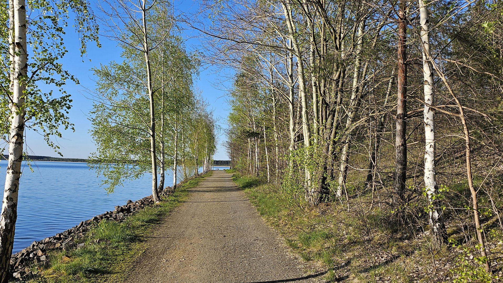Geierswaldaer See