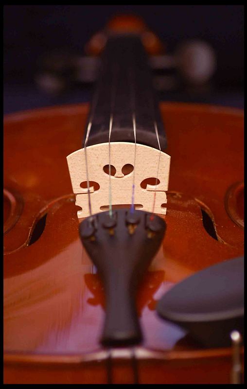 Geige 4