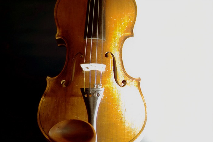 Geige3