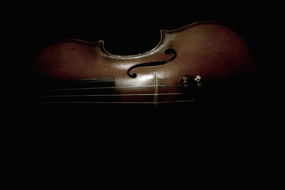 Geige6