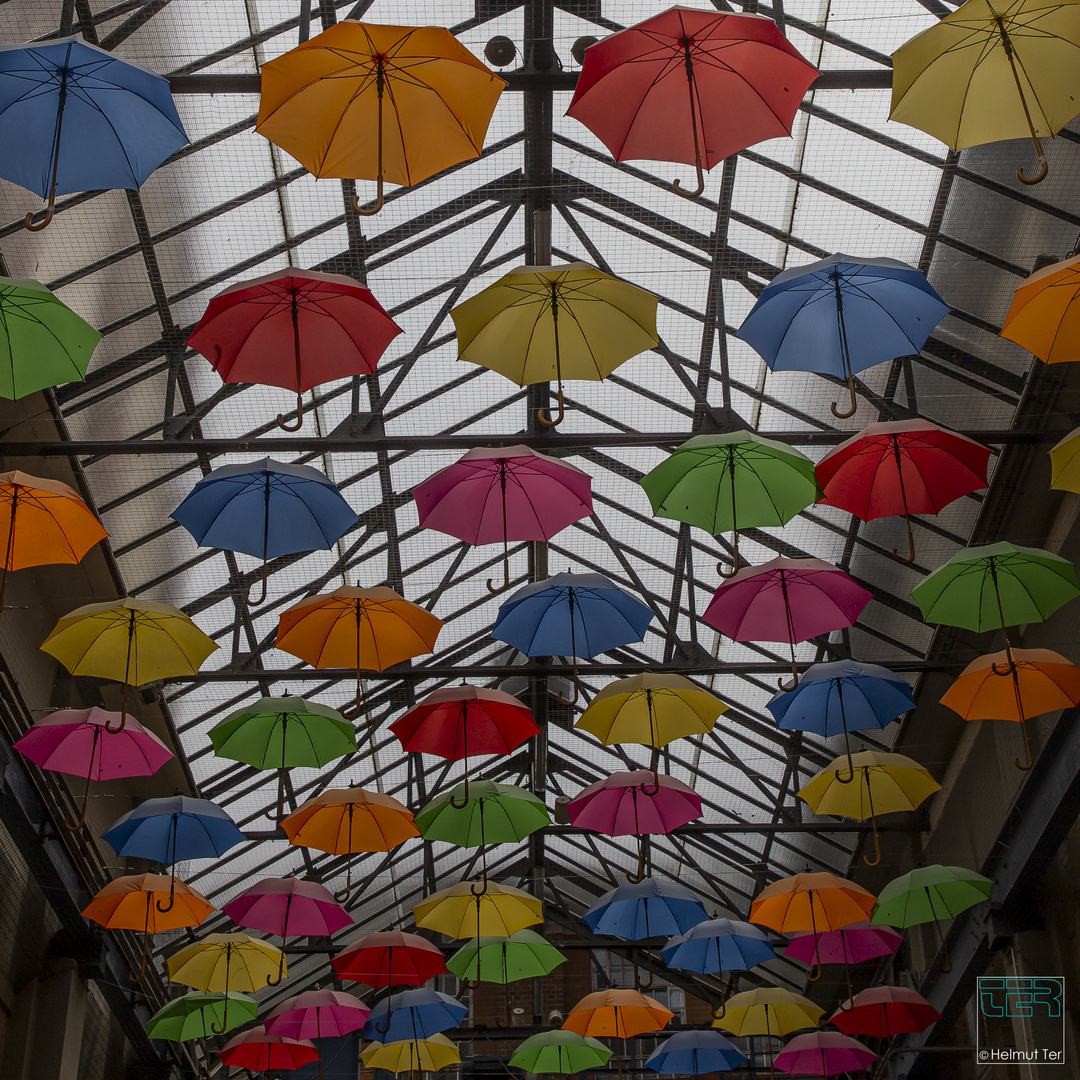 Geigen sind aus.  -  Der Himmel hängt voller Schirme