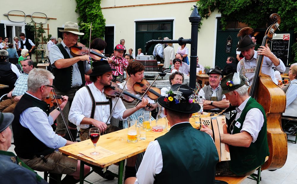 Geigenfest von  Wolfgang Schörkhuber