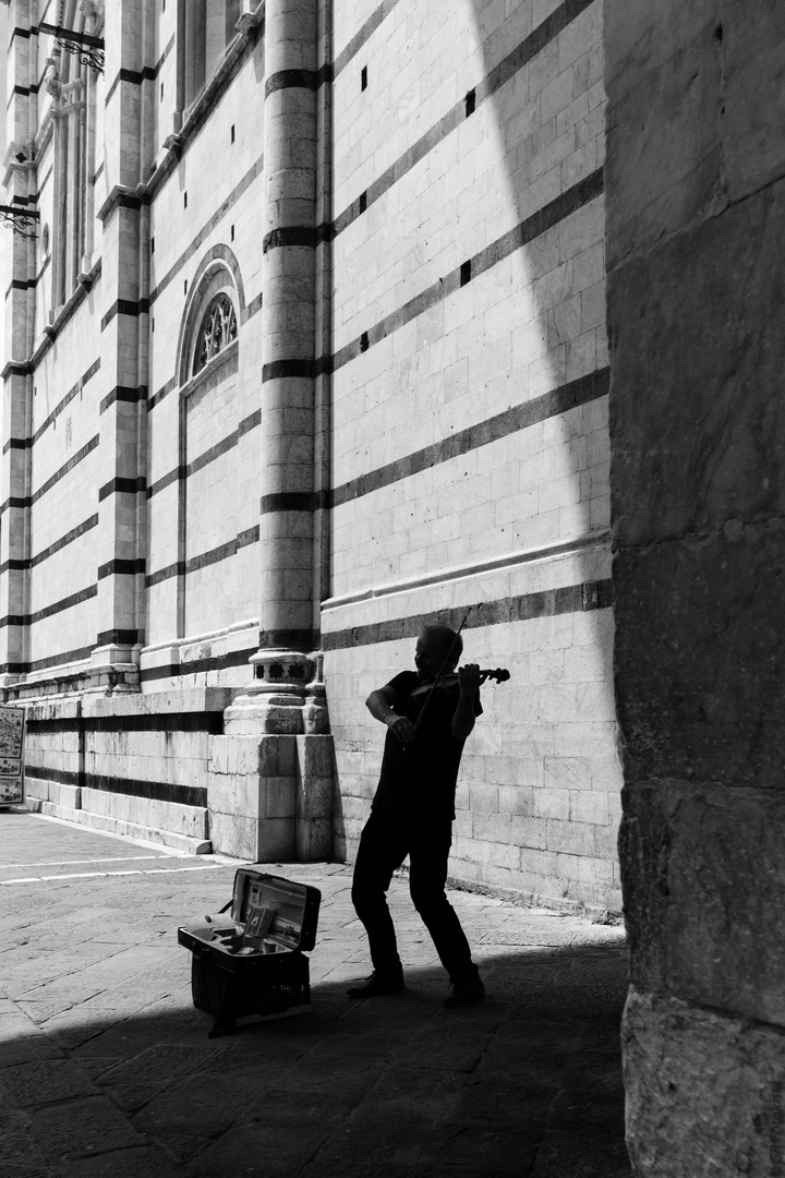 Geiger am Dom in Siena