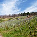 Geigersberg in Ochsenbach