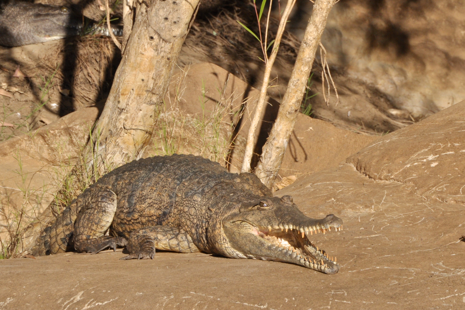 GEIKIE GORGE #10