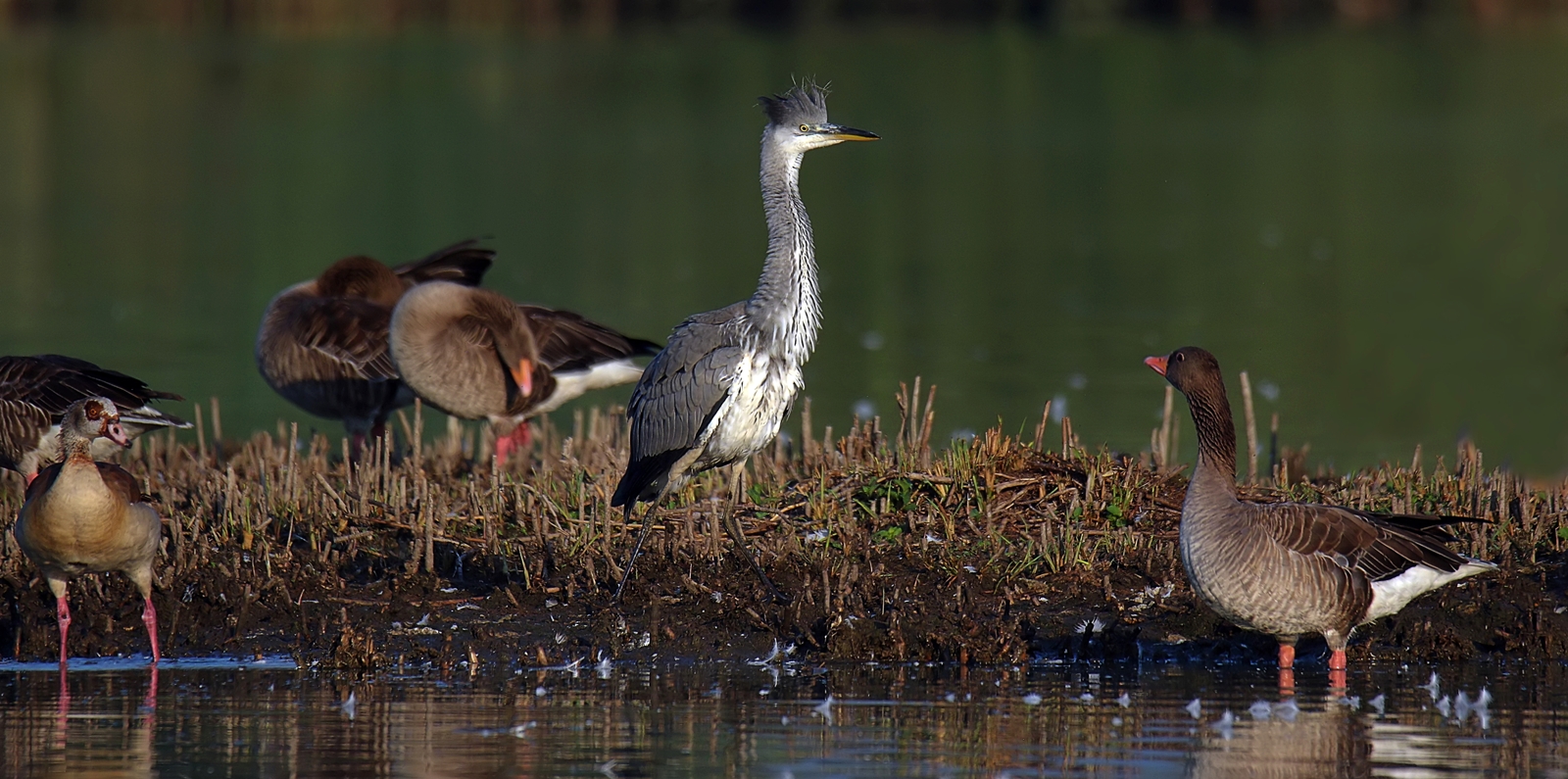  "Geile Frisur" Foto & Bild 