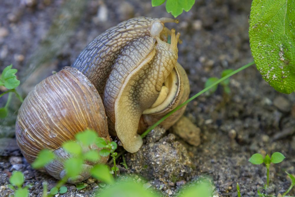 Geille Bilder Geille Bilder
