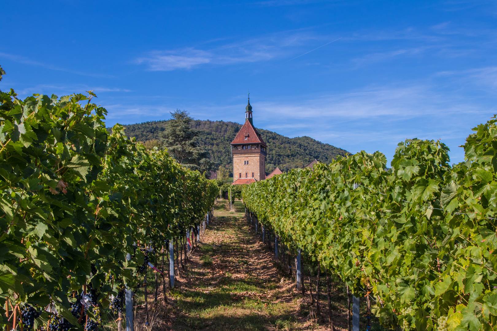 Geilweilerhof bei Siebeldingen