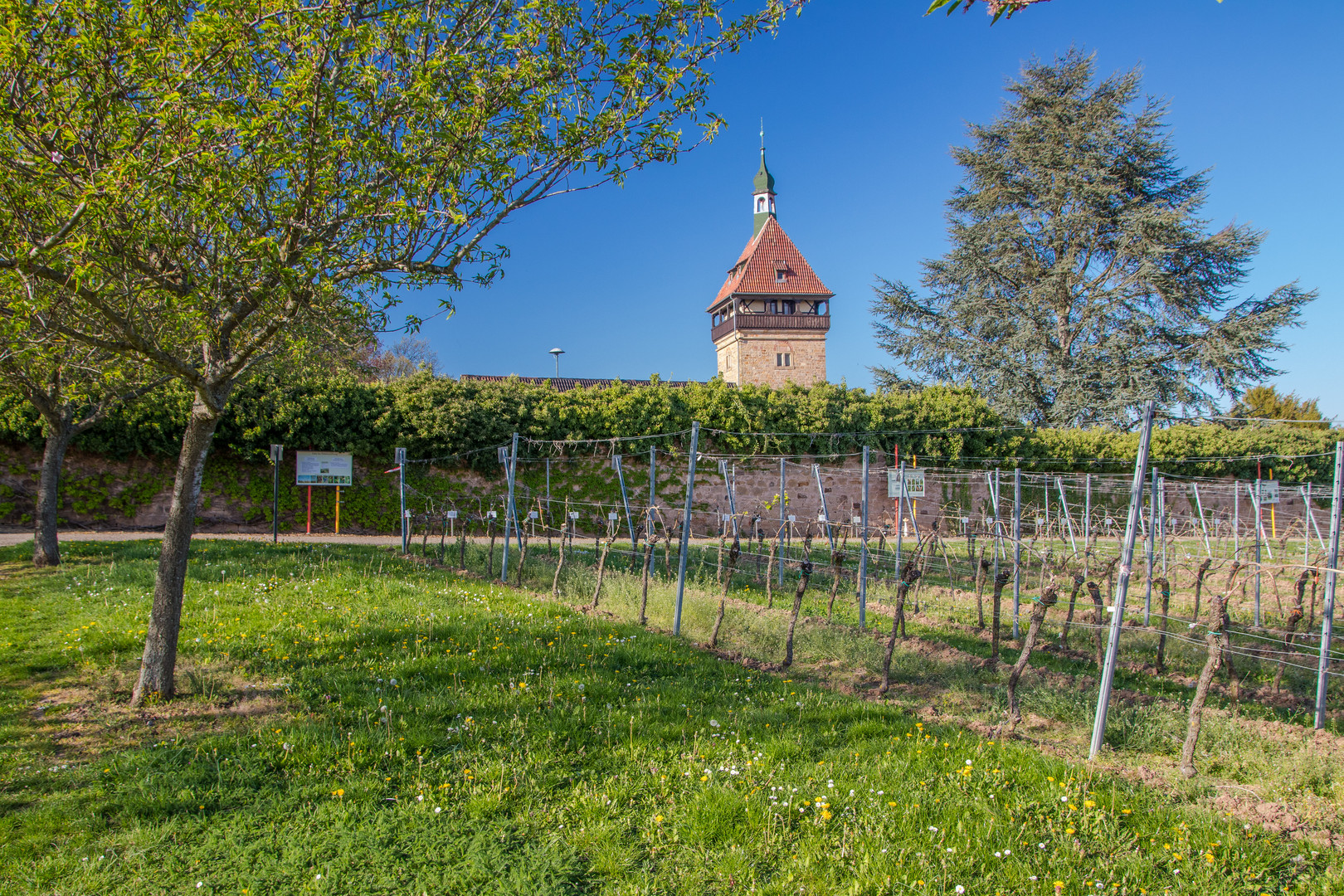 Geilweilerhof  im Frühling