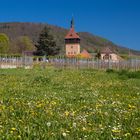 Geilweilerhof im Frühling