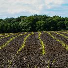 Geiselbach-Wanderung-1