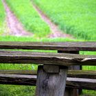 Geisenbrunn. 2013-05-23.