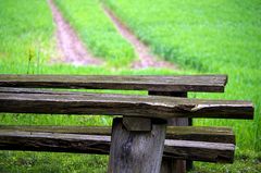 Benches.