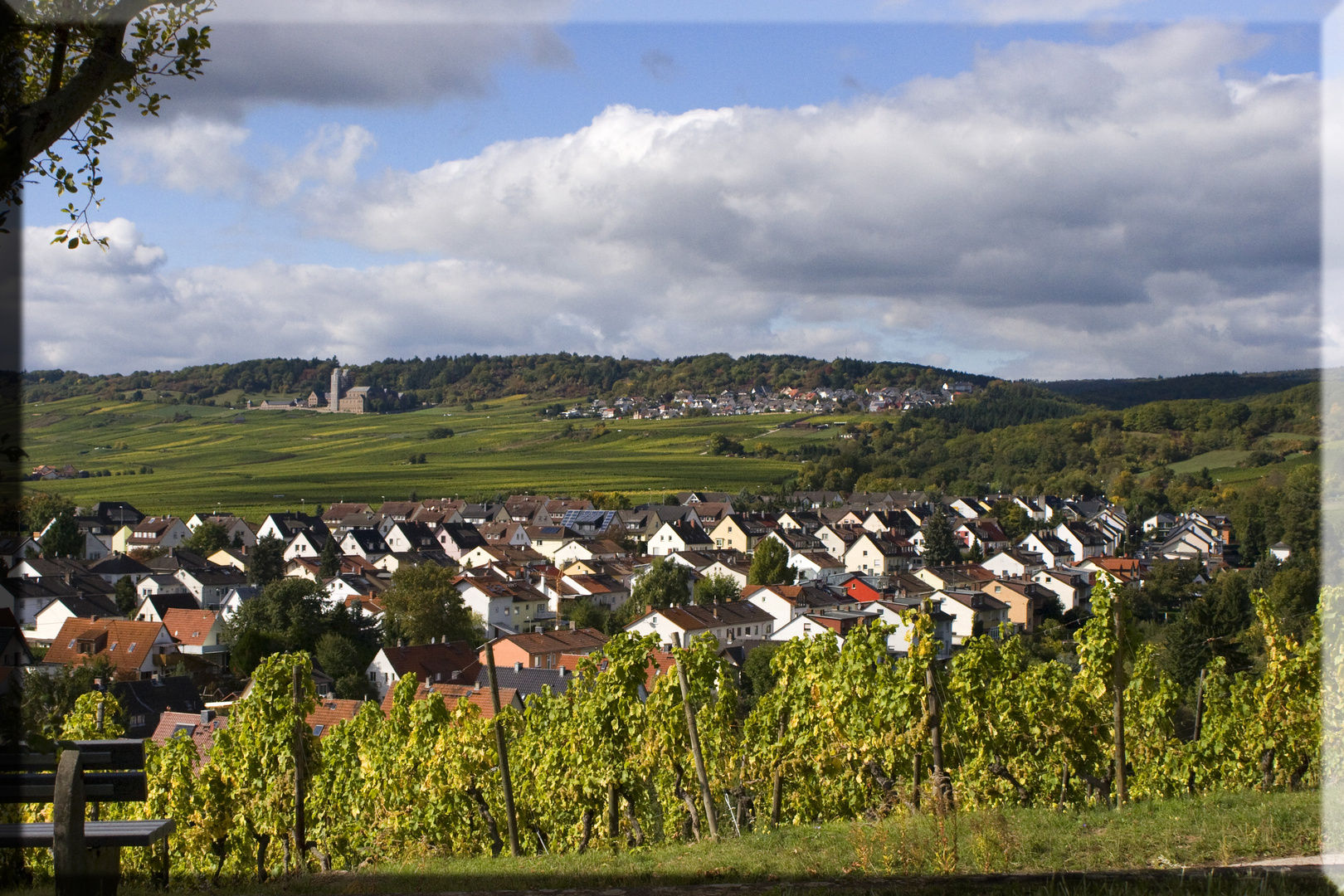 Geisenheim im Spätsommer