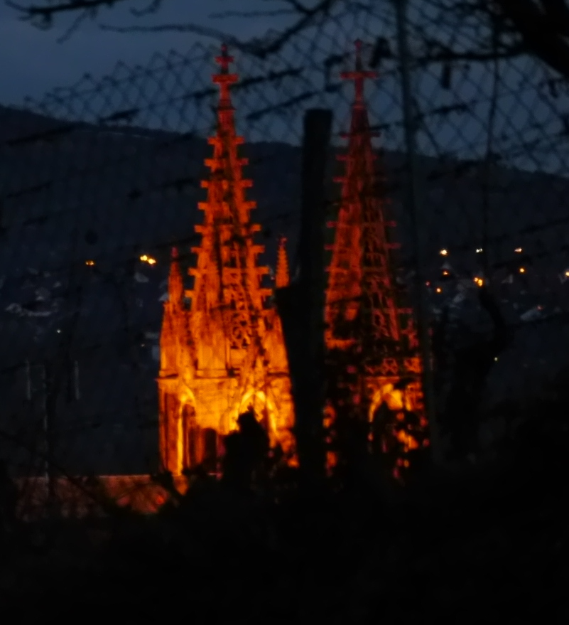 Geisenheimer Dom bei Nacht