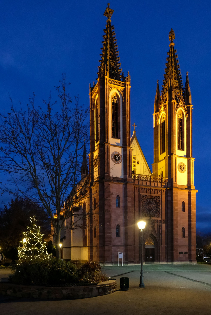 Geisenheimer Dom