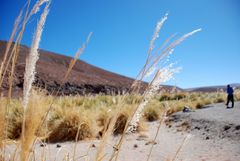 Géiseres del Tatio - Foto 0132