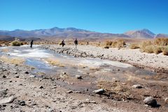 Géiseres del Tatio - Foto 0133