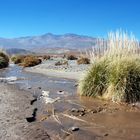 Géiseres del Tatio - foto 0137