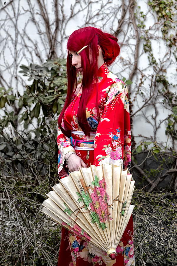geisha (# 2)