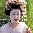 Geisha