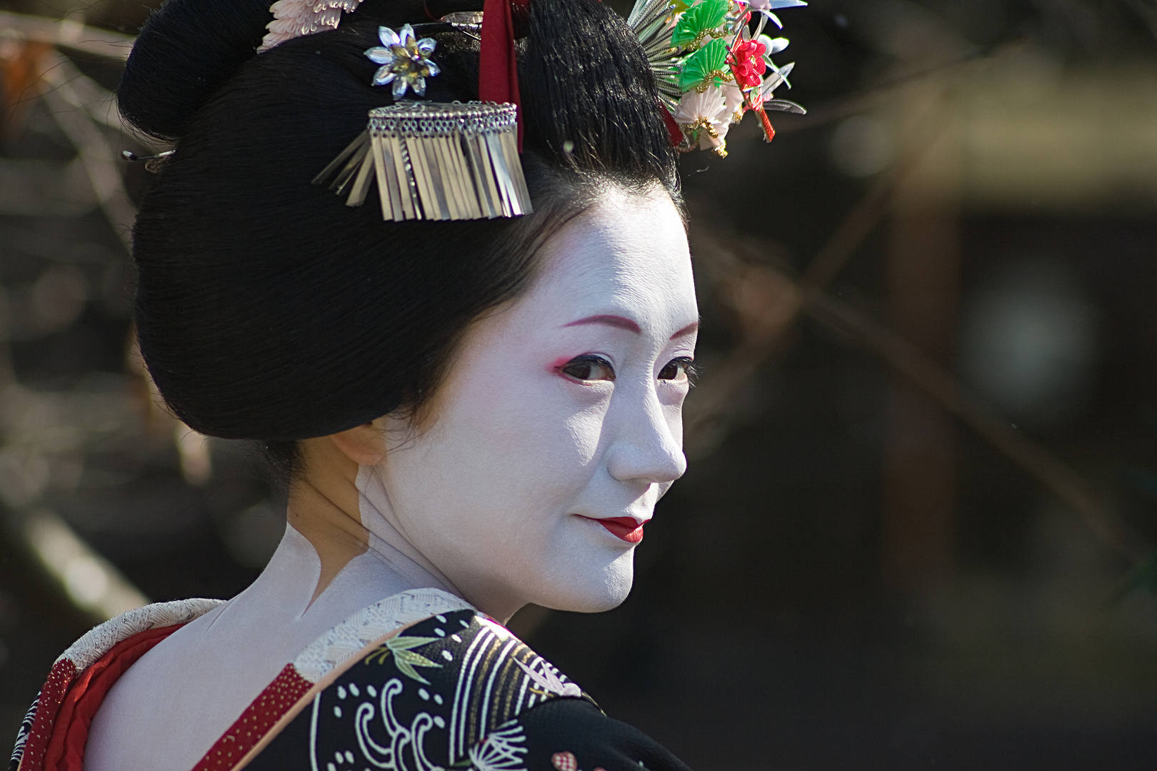 Geisha in Kyoto