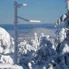 Geisingberg (824m)