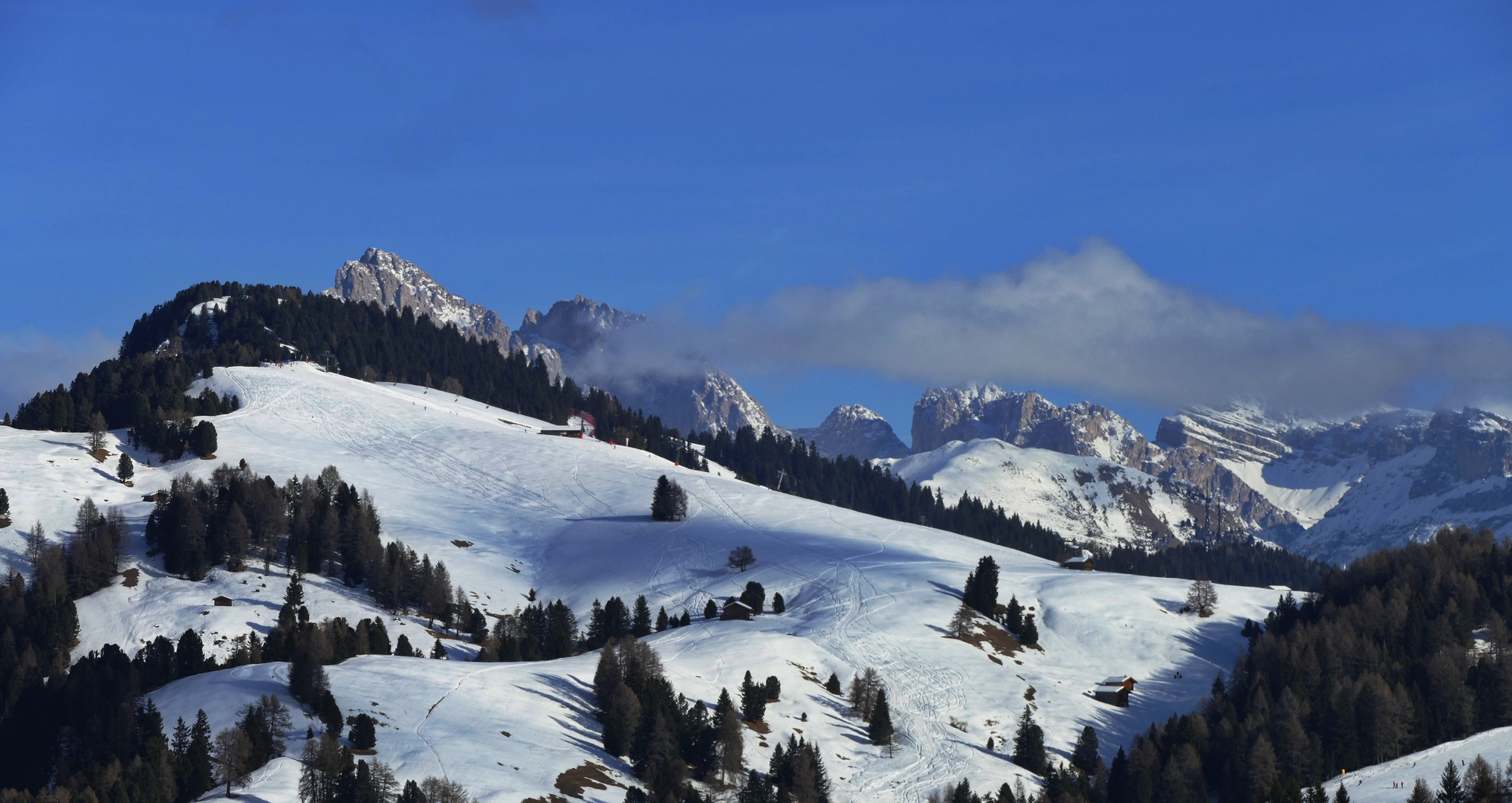 Geisler Gruppe Foto & Bild natur, landschaft, pflanzen Bilder auf
