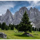 Geisleralm Süd Tirol