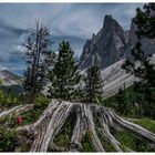 Geislergruppe Süd Tirol