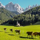 Geislergruppe Südtirol