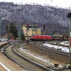 Geislinger Güterzug (1 von 3)