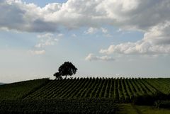 Geißberg, Wiesenbronn