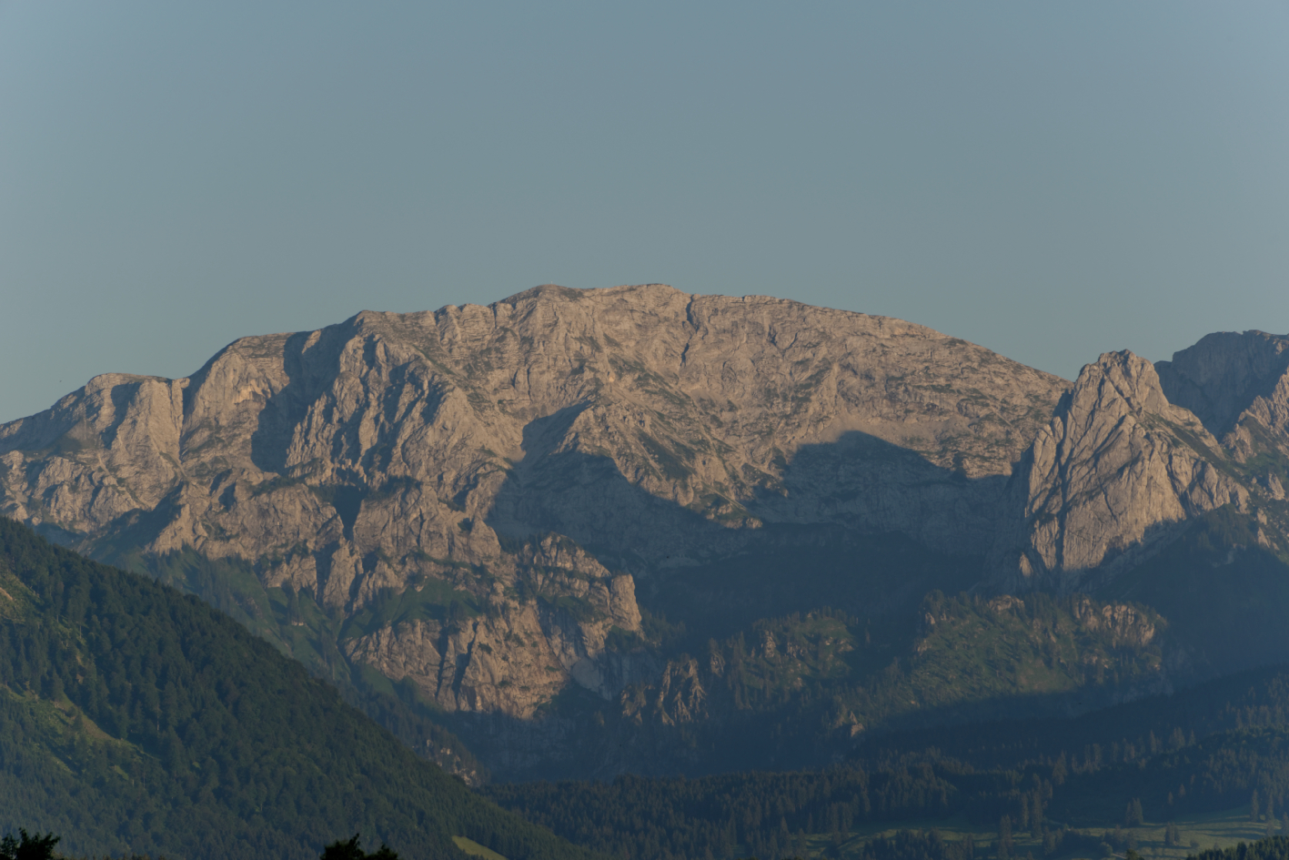 Geißbock an der Hochplatte