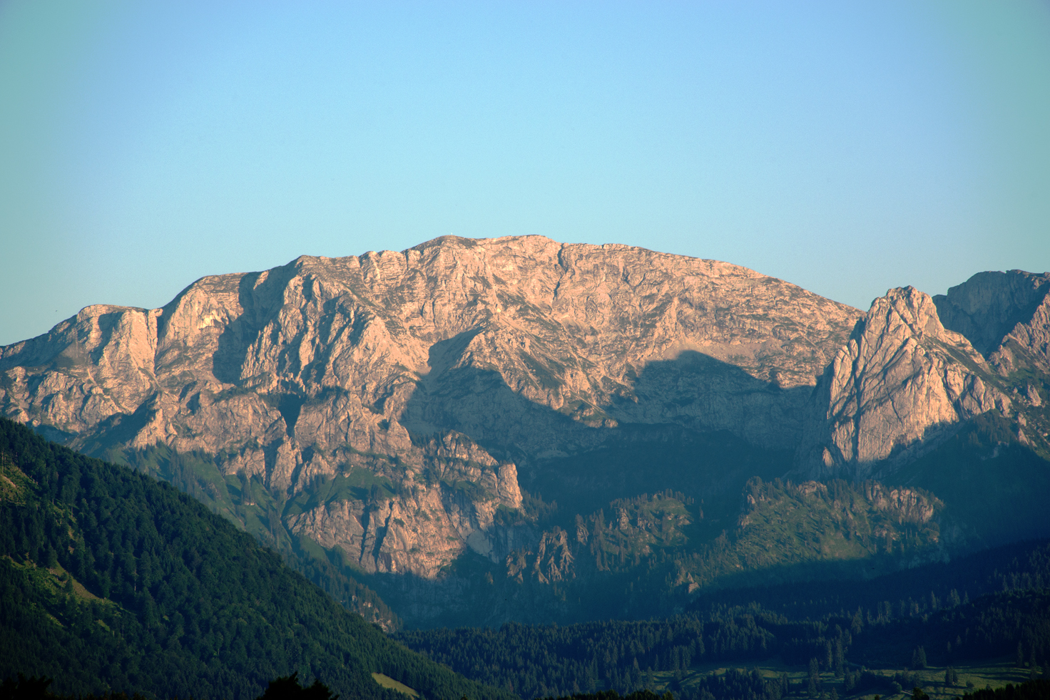 Geißbock an der Hochplatte (Version 2)