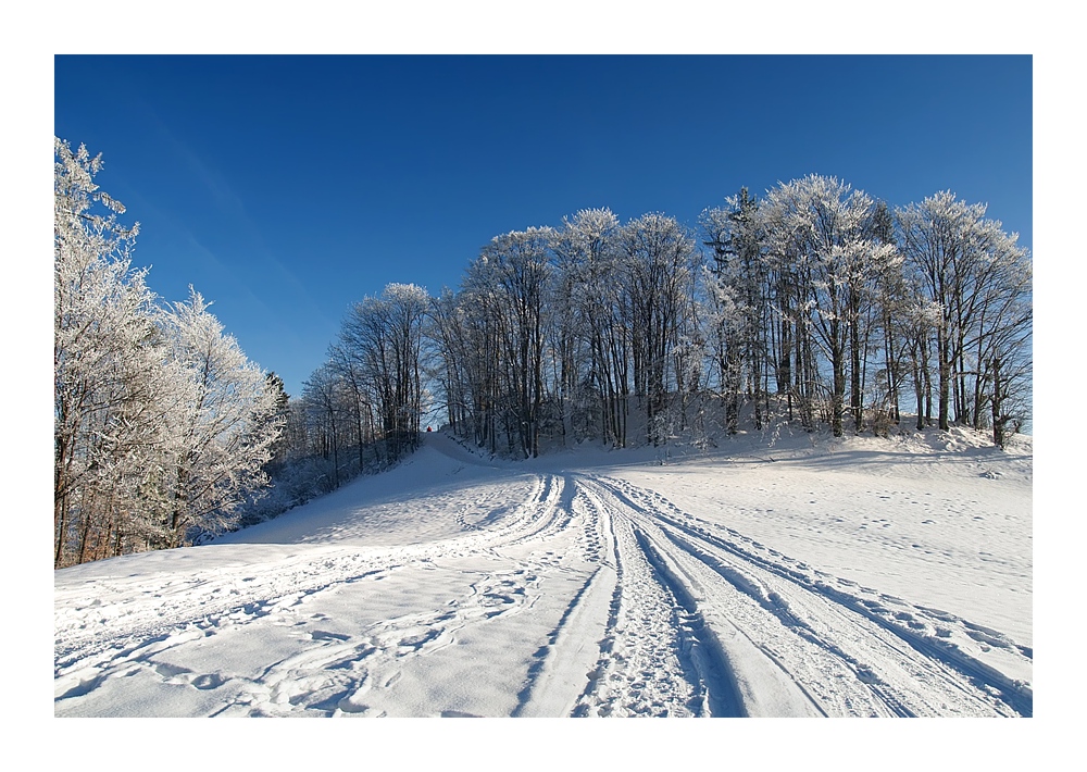 Geißbühel 29.12.2007