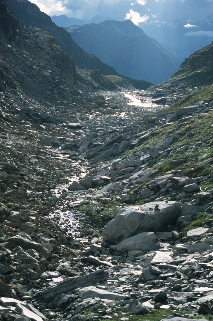 Geisspfad nähe Binntal