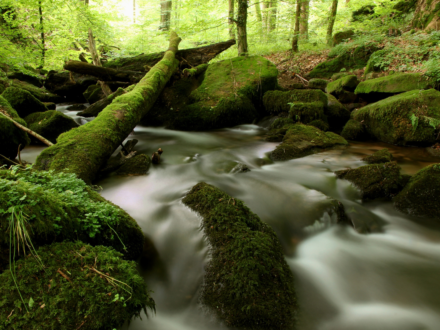 Geist des Wassers