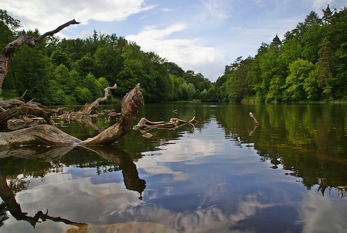 Geist von Bärensee