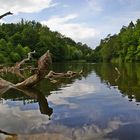 Geist von Bärensee