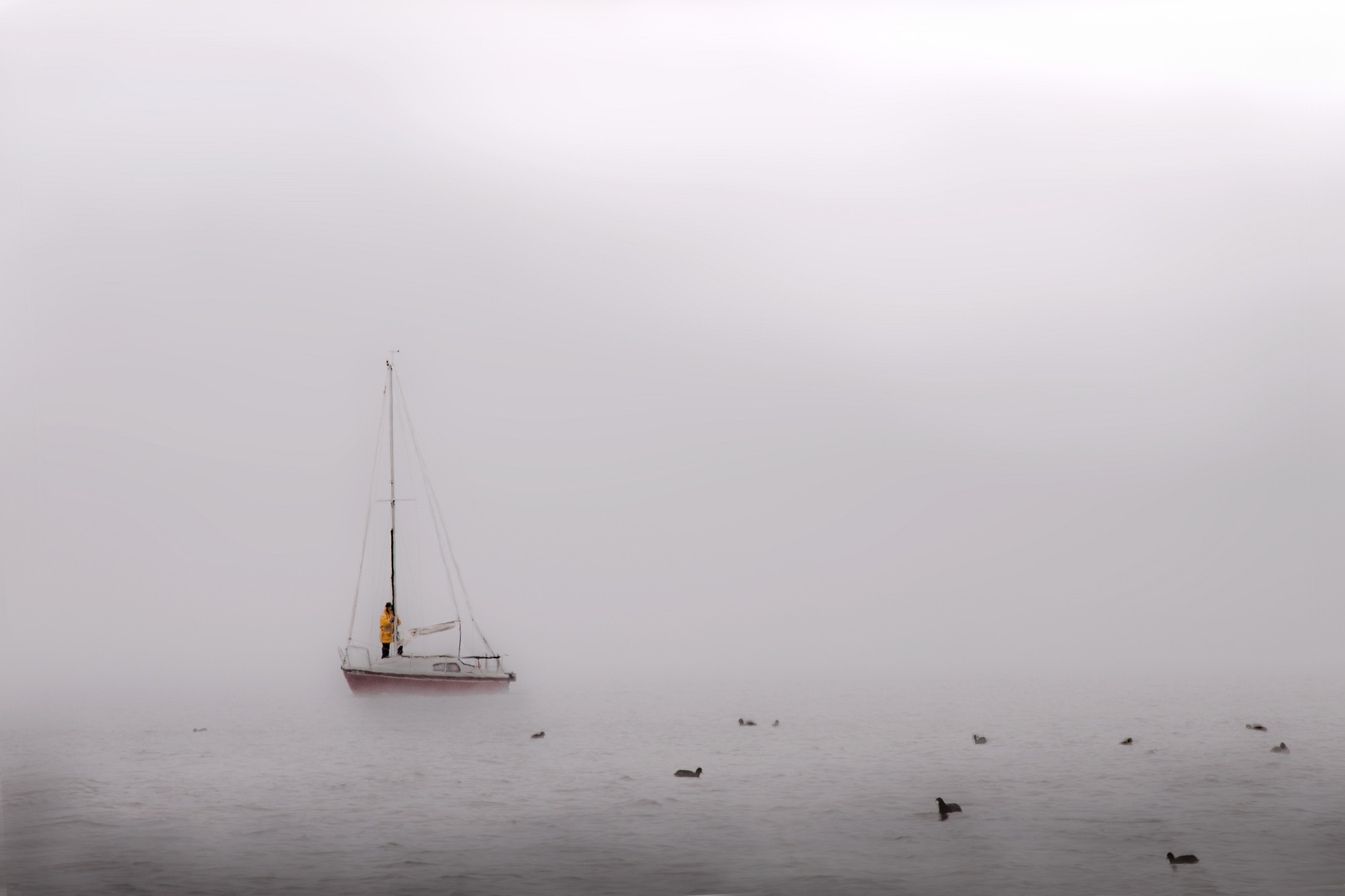 Geisterboot und Enten im Frühnebel