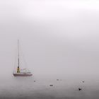 Geisterboot und Enten im Frühnebel